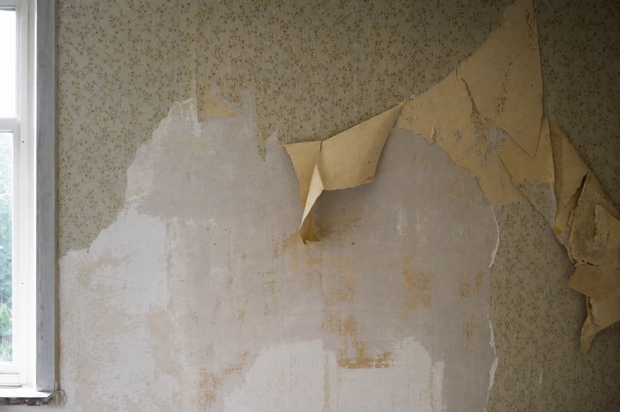 Tapete entfernen — DIY oder Profi-Auftrag?